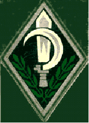 Volunteers in the Israeli Army