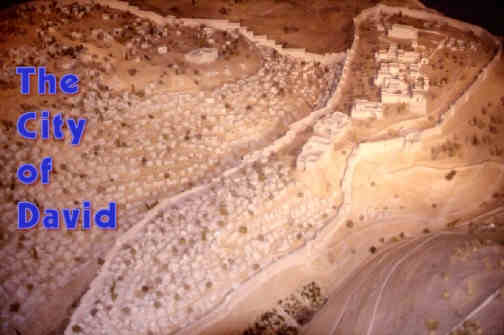 the city of david